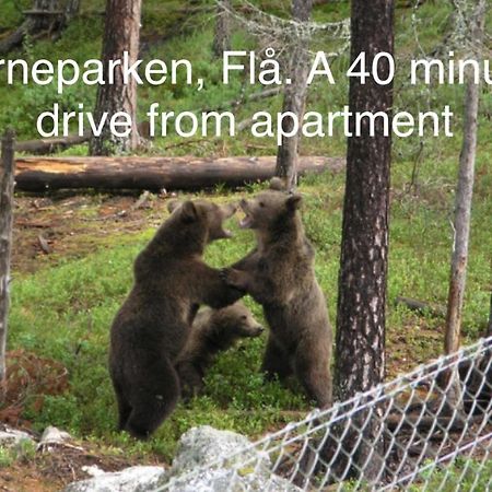 Garden Apartment in Gol Buitenkant foto
